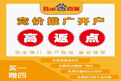 高效百度推广案例解析及优化策略